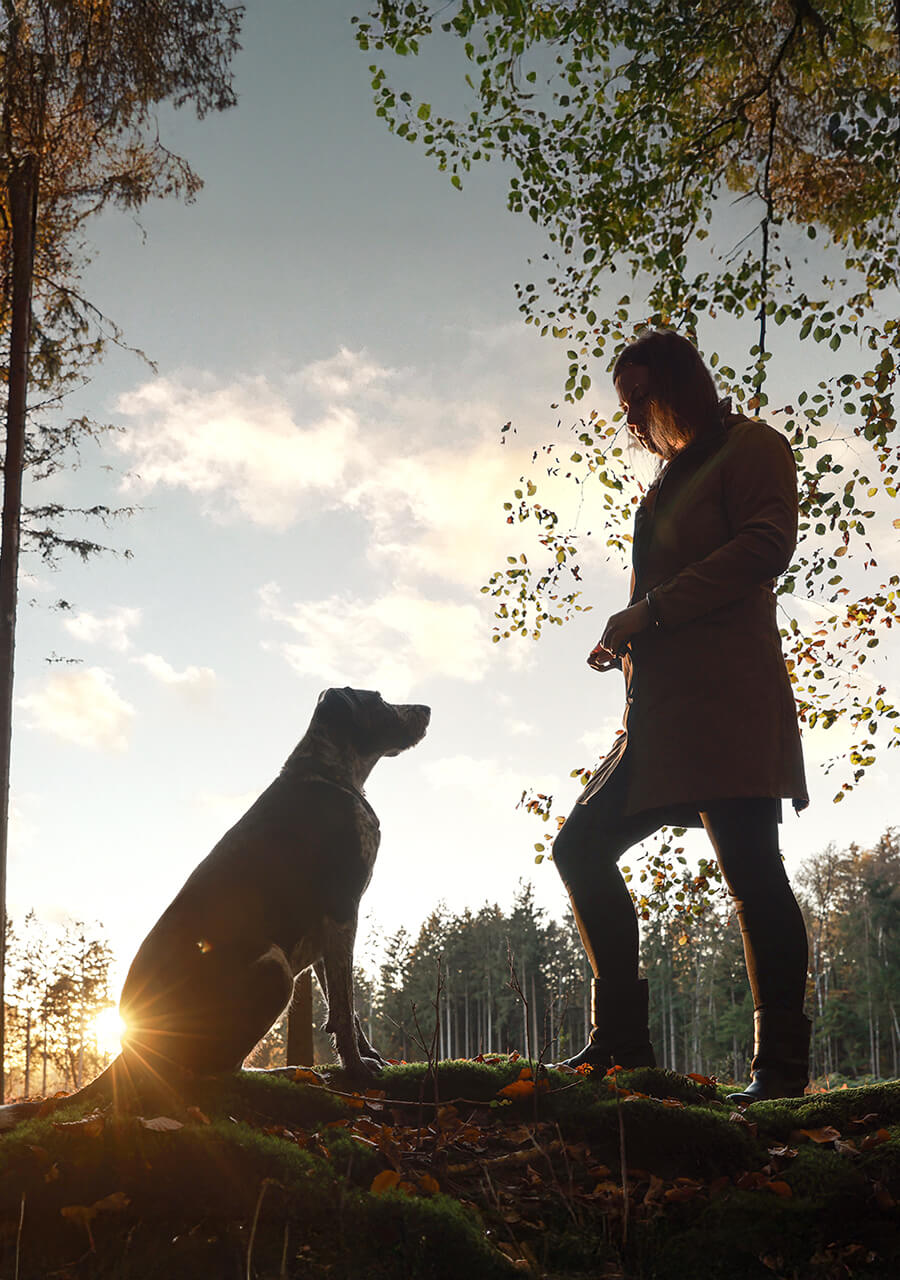 Frau mit Hund beim emotionalen Fotoshooting Hund Lueneberger Heide im Gegenlicht bei Sonnenuntergang im Wald